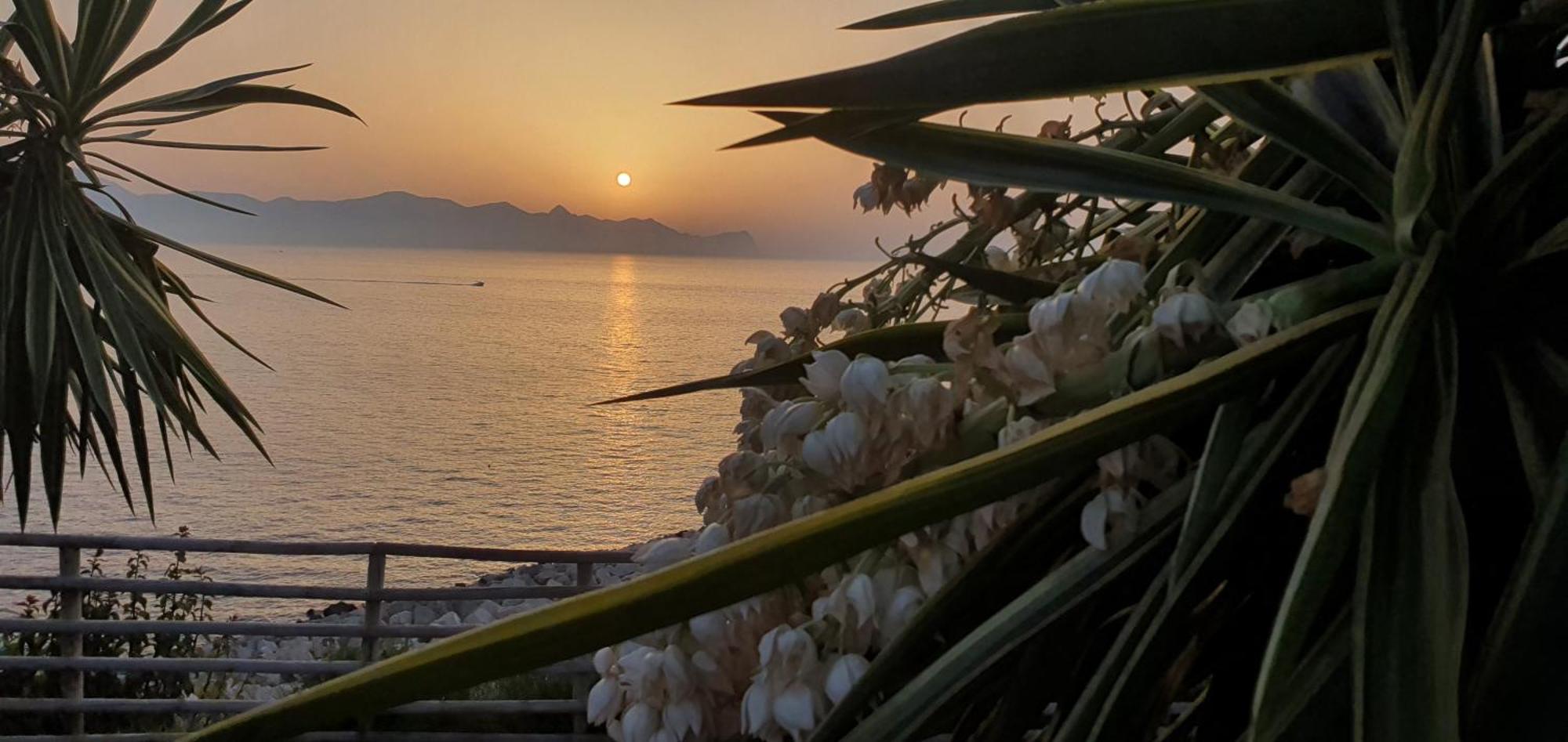 Loft In Balestrate Vicino Al Mare - Rental Beb 外观 照片
