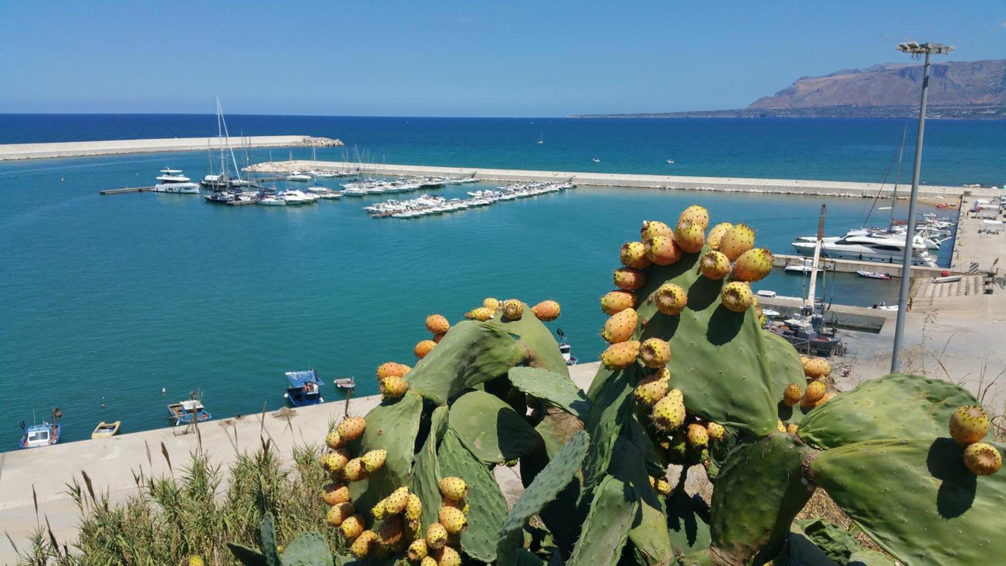 Loft In Balestrate Vicino Al Mare - Rental Beb 外观 照片